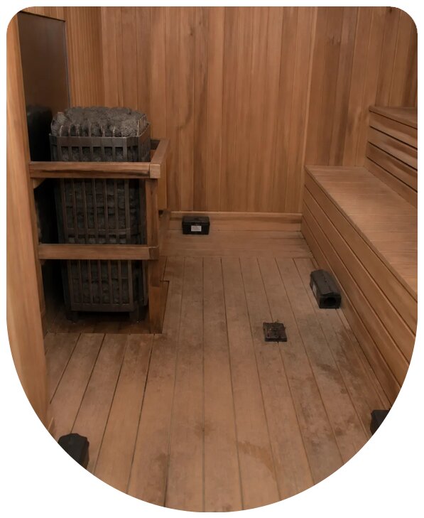 Профессиональная дератизация сауны в Щербинке с гарантией
